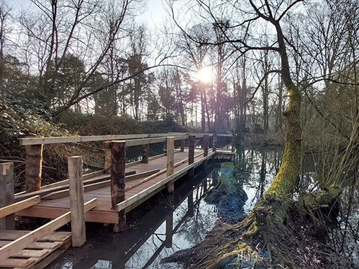 Hanningfield Reservoi